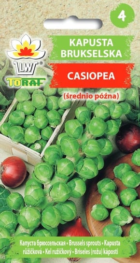 Kapusta brukselska CASIOPEA (śr. późna)
Brassica oleracea L. var gemmifera Toraf