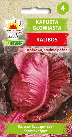 Kapusta głowiasta czerwona 
KALIBOS (stożkowa, śr. późna)
Brassica oleracea L. var capitata f. rubra Inna marka