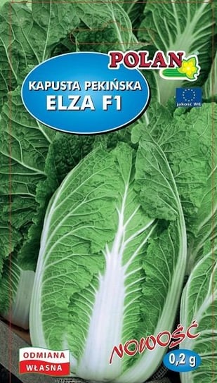 Kapusta pekińska Elza F1 0.2 g POLAN Inna marka
