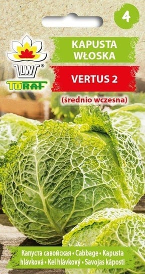 Kapusta włoska VERTUS 2 (śr. wczesna)
Brassica oleracea L. var. sabauda Toraf