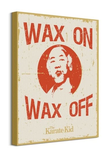 Karate Kid Wax On Wax Off - obraz na płótnie Pyramid International
