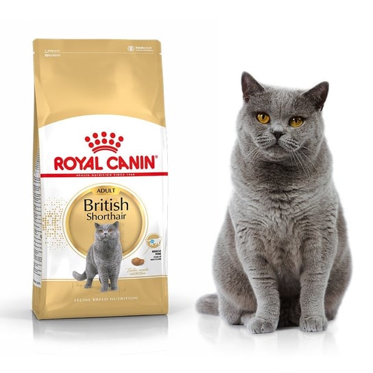 Karma dla kota, Royal Canin British Shorthair 34 4kg Royal Canin