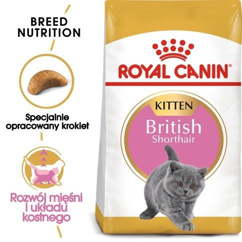 Karma sucha dla kociąt ROYAL CANIN British Shorthair Kitten, 10 kg Royal Canin