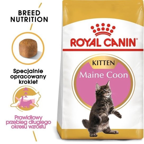 Karma sucha dla kociąt ROYAL CANIN Kitten Maine Coon, 2 kg Royal Canin