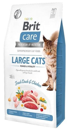 Karma Sucha Dla Kota Brit Care Cat Grain Free Large Cats Power & Vitality, 2 Kg Brit