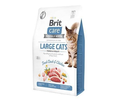 Karma Sucha Dla Kota Brit Care Cat Large, 7 Kg Brit