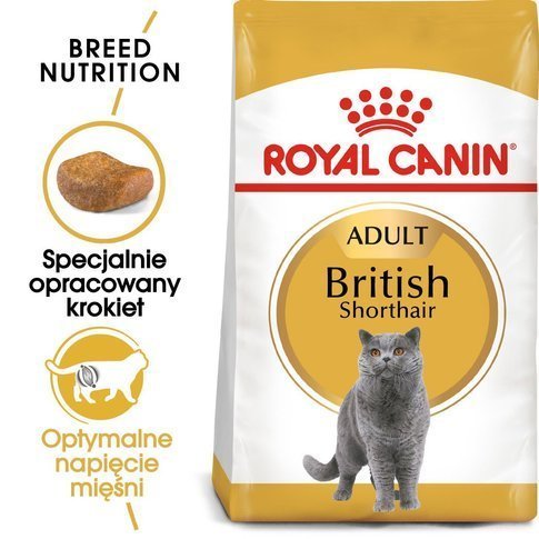 Karma sucha dla kotów ROYAL CANIN British Shorthair, 10 kg Royal Canin