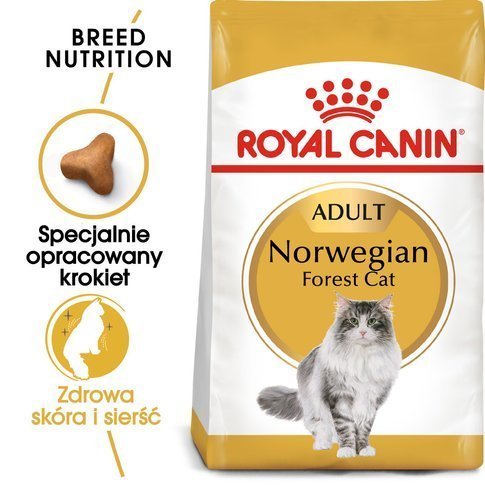 Karma sucha dla kotów ROYAL CANIN Norvegian Forest Cat Adult, 10 kg Royal Canin