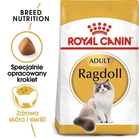Karma sucha dla kotów ROYAL CANIN Ragdoll Adult, 10 kg Royal Canin