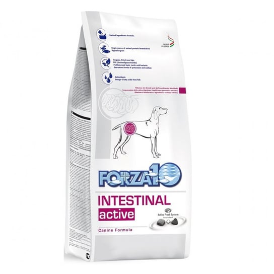 Karma sucha dla psa FORZA10 Intestinal Active, 4 kg. Forza10
