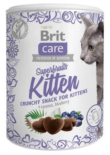 Karma uzupełniająca dla kota Brit Snack Superfruits, 100 g Brit
