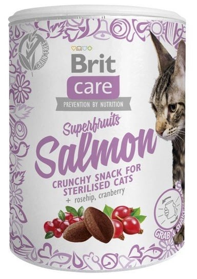 Karma uzupełniająca dla kota BRIT Snack Superfruits, łosoś 100 g. Brit
