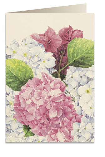 Karnet B6 Koperta 5548 Różowa Hortensja Tassotti