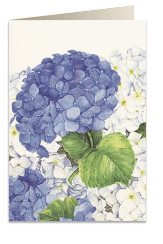 Karnet B6 Koperta 5549 Niebieska Hortensja Tassotti