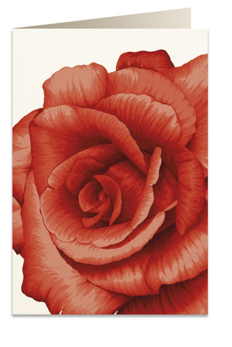 Karnet B6 Koperta 5676 Czerwona Róża Tassotti