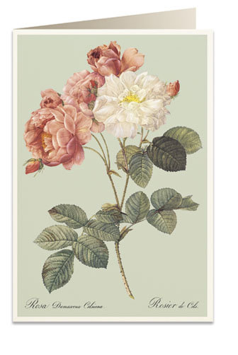 Karnet B6 Koperta 6066 Kolorowe Róże Tassotti