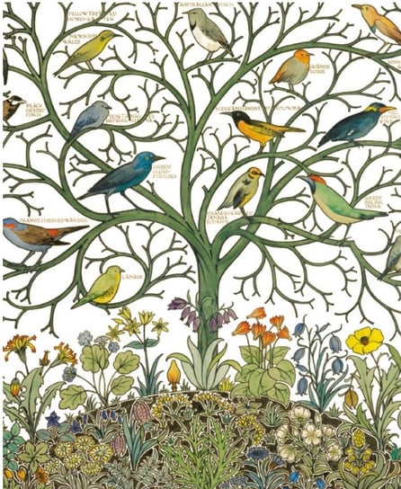 Karnet, Birds of Many Climes textile design Museums & Galleries