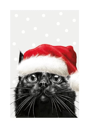 Karnet Boże Narodzenie Kot Czapka THE ART FILE
