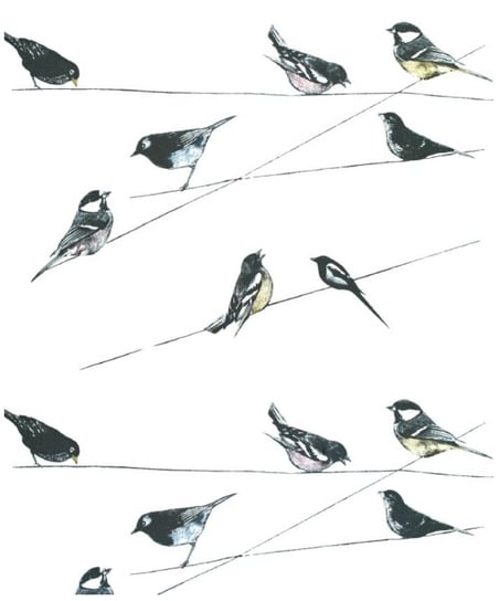 Karnet, Garden Birds wallpaper Museums & Galleries
