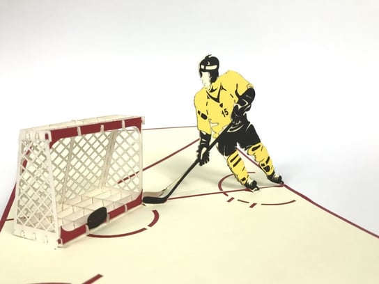 Karnet na każdą okazję 3D, Gra w hokeja GrandGift
