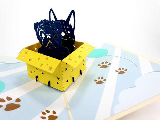 Karnet okolicznościowy 3D, Urodzinowe psy w pudełku GrandGift