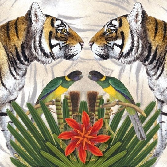 Karnet okolicznościowy, Bengal Tiger Museums & Galleries