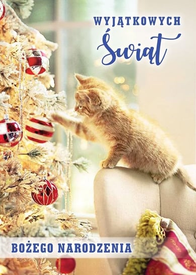 Karnet okolicznościowy, Boże Narodzenie, Kociak Kukartka