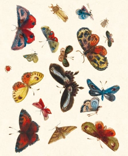 Karnet okolicznościowy, Butterfly design decoration Museums & Galleries