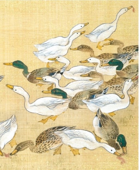 Karnet okolicznościowy, Ducks feeding Museums & Galleries