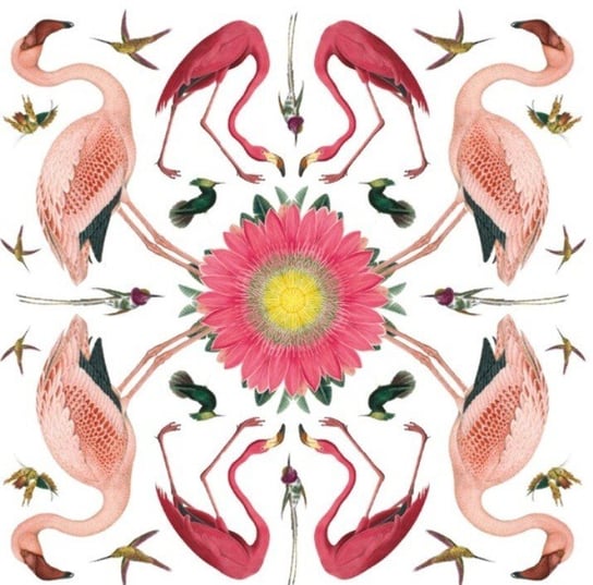 Karnet okolicznościowy, Greater Flamingo Museums & Galleries