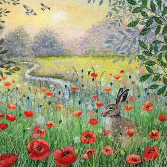 Karnet okolicznościowy, Hare and Poppies Museums & Galleries