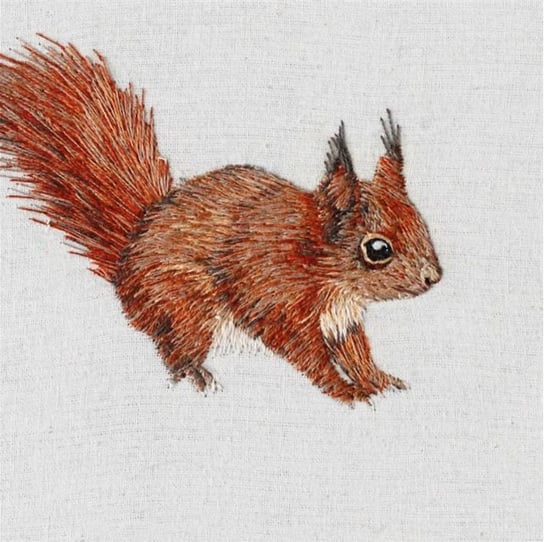 Karnet okolicznościowy, Red Squirrel Museums & Galleries