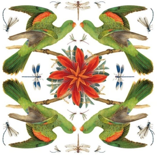 Karnet okolicznościowy, Red-winged Parrot Museums & Galleries