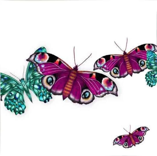 Karnet okolicznościowy Swarovski, motyle Clear Creations