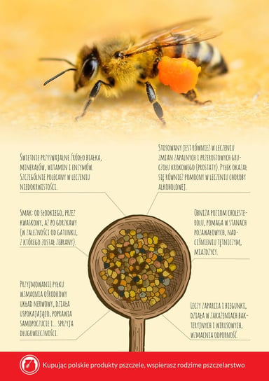 Karta informacyjna A4 "Pyłek pszczeli" (1szt) - wzór KI14 BEE&HONEY