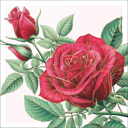 Kartka bez życzeń z piękną różą AF18 Art Nuvo