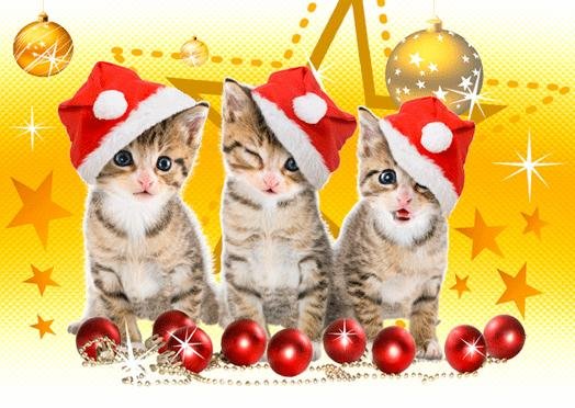 Kartka Christmas Cats No 01 3D MBM Systems