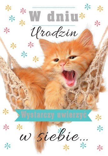 Kartka na Urodziny z życzeniami słodki kotek TS10 TREND