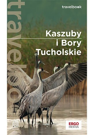 Kaszuby i Bory Tucholskie. Travelbook Flaczyńska Malwina, Flaczyński Artur