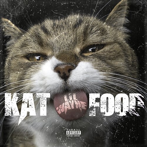 Kat Food Lil Wayne