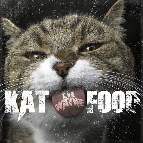 Kat Food Lil Wayne