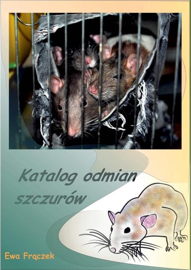 Katalog odmian szczurów Frączek Ewa