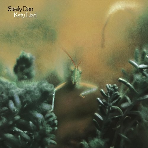 Katy Lied Steely Dan