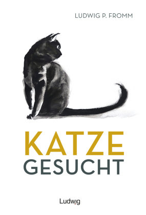 Katze gesucht Ludwig, Kiel