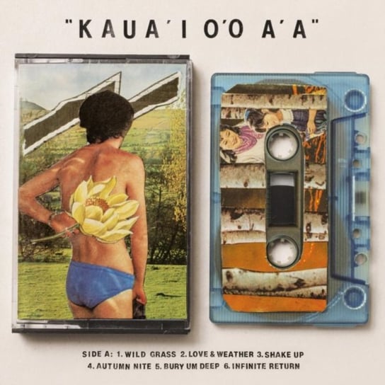 Kaua'i O'o A'a, płyta winylowa Gentle Friendly