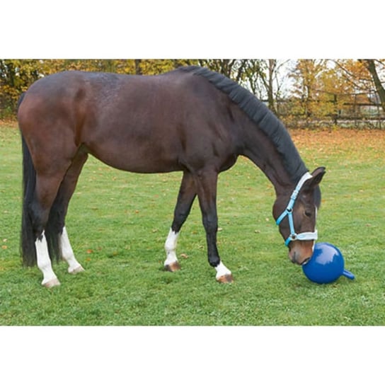 Kerbl Piłka dla konia, niebieska, 25 cm, 32399 Kerbl