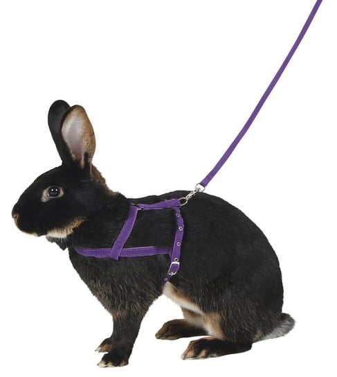 KERBL Uprząż dla królika, 34 - 50 cm, L [81761] Kerbl