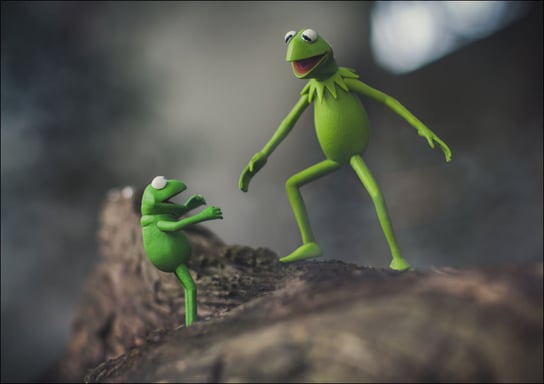 Kermit Żaba i Robin, Ulica Sezamkowa - plakat 29,7 / AAALOE Inna marka