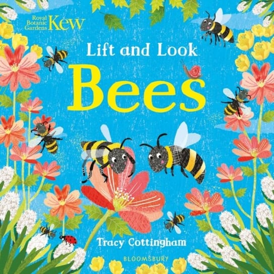 Kew: Lift and Look Bees Opracowanie zbiorowe