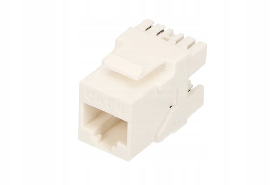 Keystone RJ4 5CAT6 UTP Extralink - Extralink | Sklep EMPIK.COM